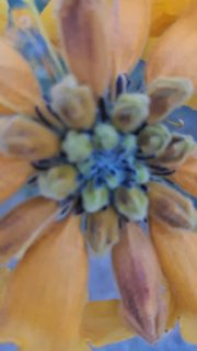 Seguimos recorriendo de Atacama...