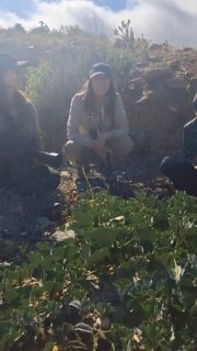 Hoy partimos recorriendo el Desierto Florido entre quebradas y la buena onda del grupo...