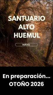 En preparación de los viajes de aventura a nuevos destinos para este OTOÑO 2026...