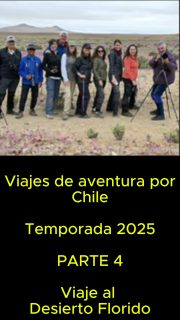 Otro de los destinos de este 2025 fué el sorprendente Desierto Florido, el cual recorrimos extensamente en octubre.