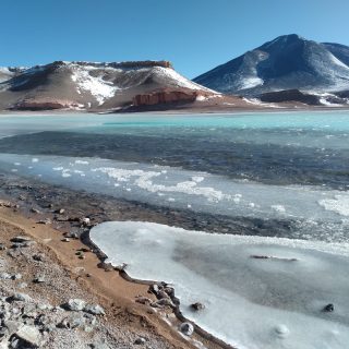 Este invierno de 2026 volveremos nuevamente a repetir esta aventura!!
Ir en esta época al Altiplano de Atacama, allá arriba en las alturas al interior de Copiapó, es sinónimo de frío y viento.
La recompensa es aboluta.
Pronto, toda la información...