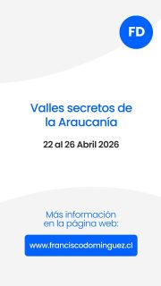 Hay lugares que no aparecen en los mapas… 
Y esta es tu invitación a descubrirlos. 🌲
Durante 5 días exploraremos bosques nativos milenarios entre montañas y valles escondidos, algunos en territorios privados con acceso exclusivo para nuestro grupo. 🔥🏔️
Una travesía íntima en plena Araucanía Andina otoñal. 🍂

Expedición Araucanía Andina Otoñal
📍 22 al 26 de abril
⚠️ Cupos limitados — solo 8 disponibles.
¿Te gustaría ser parte de esta travesía secreta? ✨️🌲
Escríbeme y te envío todos los detalles.

#viajeschile #Araucanía #fotografia