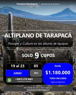 🌵 ALTIPLANO DE TARAPACÁ: Paisajes y Cultura en las alturas de Iquique 🌵

Una tremenda expedición por unos de los rincones menos visitados del norte altiplánico. 
Conoceremos un bosuqe de cactus de + 10 mts. de altura frente a la inmensidad del salar de Copiasa, visitando pueblos ancestrales que guardan la historia del Altiplano,los géisers y termas de Puchuldiza, bofedales con fauna, vistas a los gigantes volcanes de Tarapacá, entre otros.

5 días de desconexión y aventura altiplánica.

🔴 SÓLO 9 CUPOS.

🗓 CUÁNDO: 19 al 23 de Junio.

📍 DESTINO: Altiplano de Iquique, Región de Tarapacá.

💰 VALOR: $1.180.000 (Todo Incluido según programa).

¿Qué incluye esta travesía?
✅ Alojamientos en el poblado de Cariquima.
✅ Todas las comidas y raciones de marcha.
✅ Traslados en vehículos preparados para el terreno.
✅ Guía experto y logística integral de expedición.

✨ ¡Ven a descubrir el silencio del desierto y la magia de sus alturas! Una ruta pensada para quienes buscan algo más que un simple viaje turístico.

📲 Reserva tu cupo o pídeme el itinerario completo por mensaje directo.

🌐 Explora este y más destinos en: www.franciscodominguez.cl