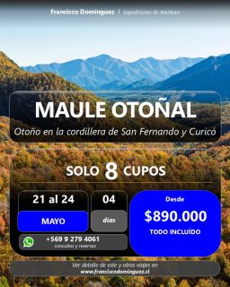 🍂 MAULE OTOÑAL: Expedición Cordillera de San Fernando y Curicó 

👉 Santuario del Alto Huemul
 Parque Cordilleran Cuenca Andina
 Cuenca del rio Teno - Los Queñes.

En este viaje buscaremos los colores más intensos del otoño en el corazón de la cordillera central. Una ruta diseñada para quienes aman la montaña, la aventura y la fotografía de naturaleza.

🔴 SÓLO 8 CUPOS: 

🗓 CUÁNDO: 21 al 24 de Mayo.

📍 RUTA: Cordillera de San Fernando y Curicó.

💰 VALOR: $890.000 (Todo Incluido según programa).

¿Qué incluye la expedición?
✅ Alojamientos seleccionados en la zona.
✅ Todas las comidas y raciones de marcha.
✅ Traslados internos durante toda la ruta.
✅ Guías expertos y logística de aventura.

🏔 ¡Vive la montaña como pocos la conocen! El otoño en esta zona es un espectáculo que dura solo unas semanas.

📲 Reserva tu lugar o pideme el itinerario completo directamente.

🌐 Más detalles de este y otros viajes en: www.franciscodominguez.cl