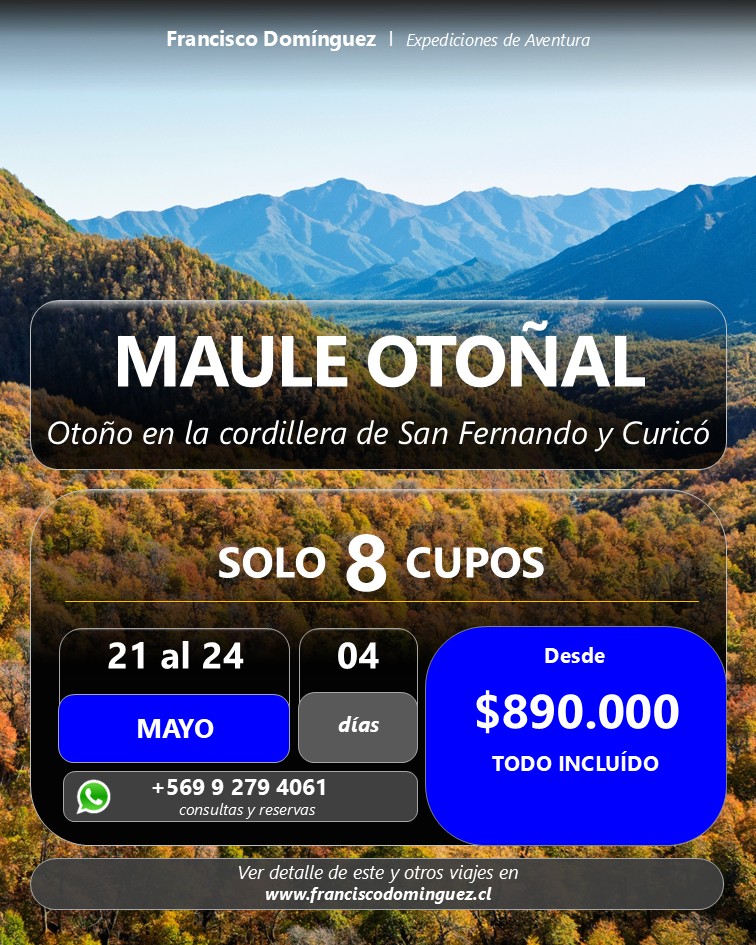 🍂 MAULE OTOÑAL: Expedición Cordillera de San Fernando y Curicó 

👉 Santuario del Alto Huemul
 Parque Cordilleran Cuenca Andina
 Cuenca del rio Teno - Los Queñes.

En este viaje buscaremos los colores más intensos del otoño en el corazón de la cordillera central. Una ruta diseñada para quienes aman la montaña, la aventura y la fotografía de naturaleza.

🔴 SÓLO 8 CUPOS: 

🗓 CUÁNDO: 21 al 24 de Mayo.

📍 RUTA: Cordillera de San Fernando y Curicó.

💰 VALOR: $890.000 (Todo Incluido según programa).

¿Qué incluye la expedición?
✅ Alojamientos seleccionados en la zona.
✅ Todas las comidas y raciones de marcha.
✅ Traslados internos durante toda la ruta.
✅ Guías expertos y logística de aventura.

🏔 ¡Vive la montaña como pocos la conocen! El otoño en esta zona es un espectáculo que dura solo unas semanas.

📲 Reserva tu lugar o pideme el itinerario completo directamente.

🌐 Más detalles de este y otros viajes en: www.franciscodominguez.cl