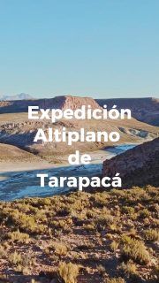 Ultimos 3 cupos!!

Y además, le agregamos un dia adicional, para conocer más lugares de esta poco visitada zona del Altiplano de Tarapacá.

06 al 10 Agosto

$ 1.290.000 por persona.

5 dias / 4 noches.

Todo el programa lo encuentras en www.franciscodomiguez.cl