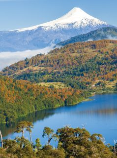 Estoy preparando el Calendario Chile 2027 y pensé... ¿cuál de estas 3 fotografías seleccionarías para la Portada?
N°1 ✅¿una otoñal, con el volcán Villarrica de fondo?
N°2 ✅¿una de volcanes y la laguna Verde en las frías alturas del Altiplano de Copiapó?
N°3 ✅¿o quizás, las icónicas Torres del Paine reflejadas en la laguna Amarga?
Te invito a comentar tu número favorito!