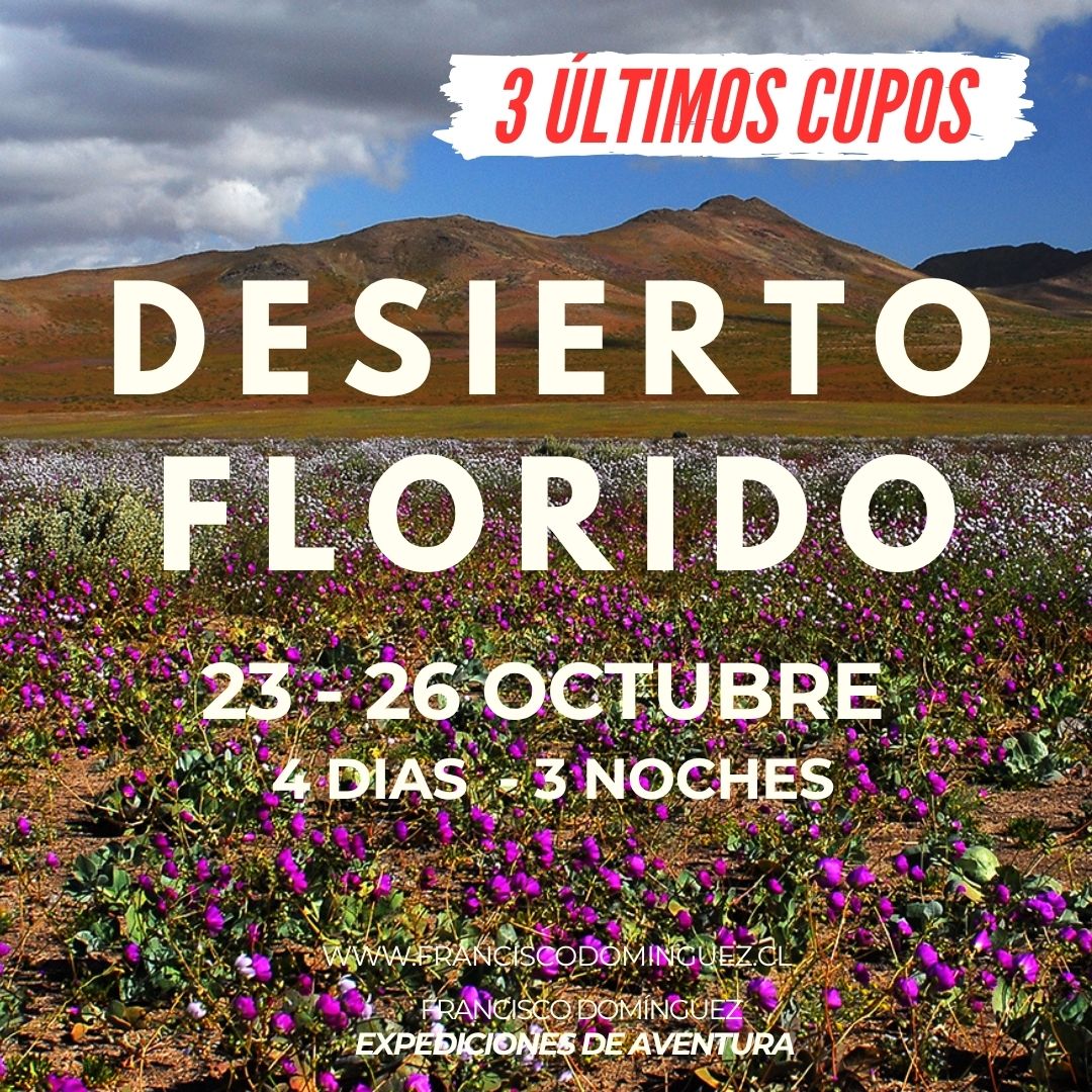3 últimos cupos para esta fecha =>23 al 26 OCT.
Para la fecha del 16 al 19 OCT. quedan unos pocos también.
Si te interesa, escríbeme!!