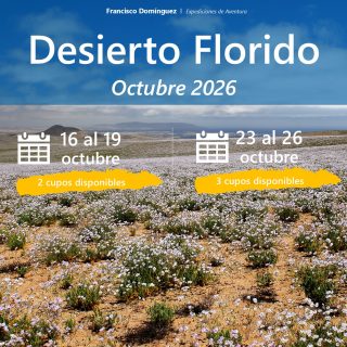Ya van quedando los últimos cupos para ir a recorrer el Desierto Florido de este año.
Todo el programa lo encuentras en mi web : www.franciscodominguez.cl