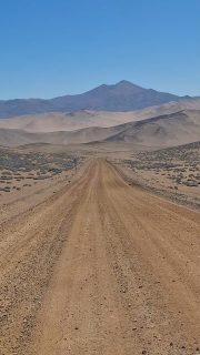 Gracias a los dos grupos de viajeros que durante estas dos últimas semanas nos acompañaron a recorrer este Desierto Florido 2026.
Será hasta una nueva aventura, siempre recorriendo nuestro espectacular país!!